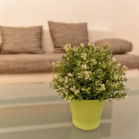 Raday Prime Exclusive