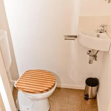 Raday Prime Exclusive